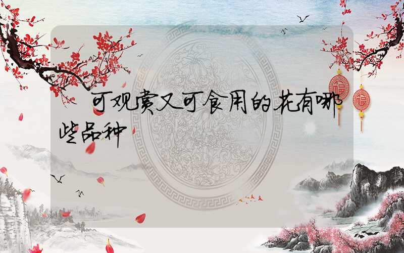  可观赏又可食用的花有哪些品种